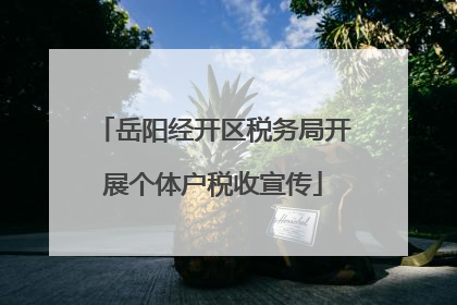 岳阳经开区税务局开展个体户税收宣传