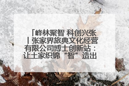 峰林聚智 科创兴张丨张家界旅典文化经营有限公司博士创新站：让土家织锦“智”造出非遗新传奇