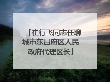 崔行飞同志任聊城市东昌府区人民政府代理区长