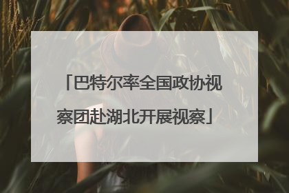 巴特尔率全国政协视察团赴湖北开展视察