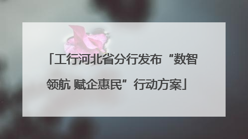 工行河北省分行发布“数智领航 赋企惠民”行动方案