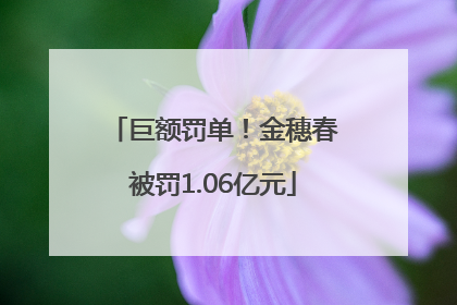 巨额罚单！金穗春被罚1.06亿元