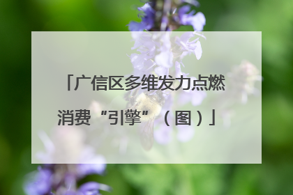 广信区多维发力点燃消费“引擎”（图）