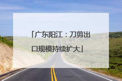 广东阳江：刀剪出口规模持续扩大