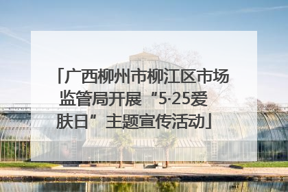 广西柳州市柳江区市场监管局开展“5·25爱肤日”主题宣传活动