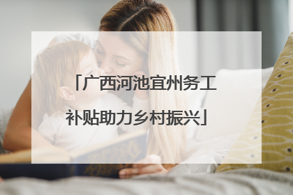 广西河池宜州务工补贴助力乡村振兴