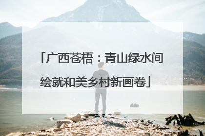 广西苍梧：青山绿水间绘就和美乡村新画卷