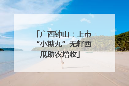 广西钟山：上市“小糖丸”无籽西瓜助农增收