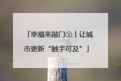 幸福来敲门③丨让城市更新“触手可及”