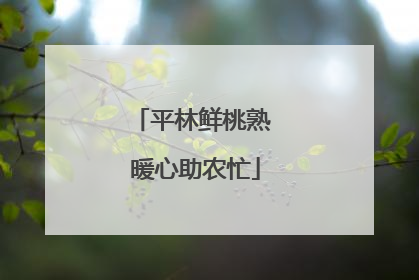平林鲜桃熟 暖心助农忙