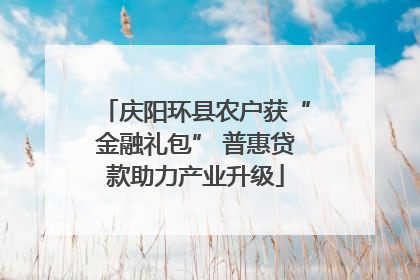 庆阳环县农户获“金融礼包” 普惠贷款助力产业升级