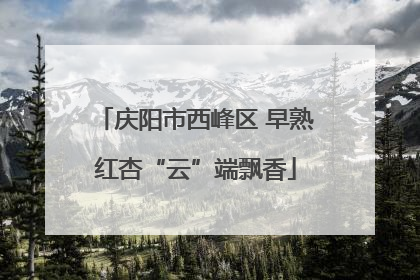 庆阳市西峰区 早熟红杏“云”端飘香