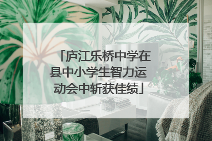 庐江乐桥中学在县中小学生智力运动会中斩获佳绩