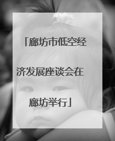 廊坊市低空经济发展座谈会在廊坊举行
