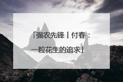 强农先锋丨付春：一粒花生的追求