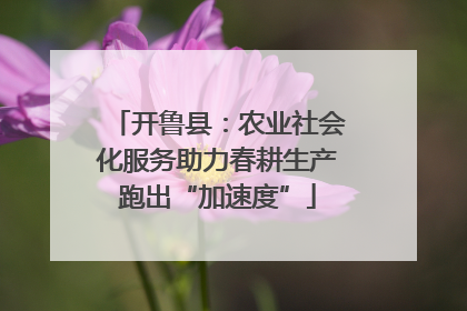 开鲁县：农业社会化服务助力春耕生产跑出“加速度”