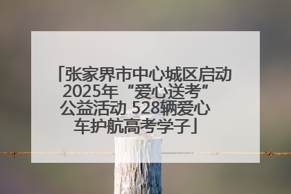 张家界市中心城区启动2025年“爱心送考”公益活动 528辆爱心车护航高考学子