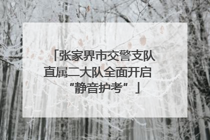 张家界市交警支队直属二大队全面开启“静音护考”