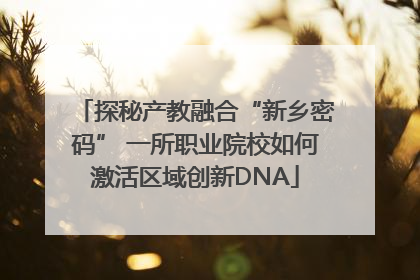 探秘产教融合“新乡密码” 一所职业院校如何激活区域创新DNA
