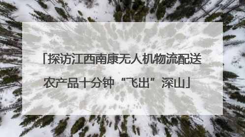探访江西南康无人机物流配送 农产品十分钟“飞出”深山
