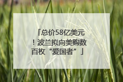 总价58亿美元！波兰拟向美购数百枚“爱国者”