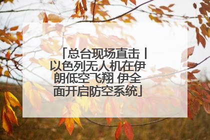 总台现场直击丨以色列无人机在伊朗低空飞翔 伊全面开启防空系统