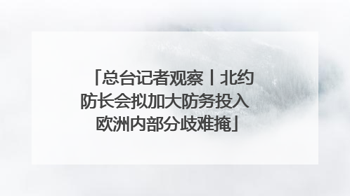 总台记者观察丨北约防长会拟加大防务投入 欧洲内部分歧难掩