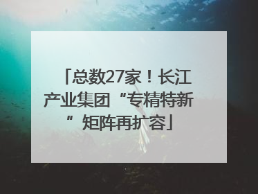 总数27家！长江产业集团“专精特新”矩阵再扩容