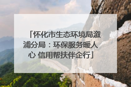 怀化市生态环境局溆浦分局：环保服务暖人心 信用帮扶伴企行