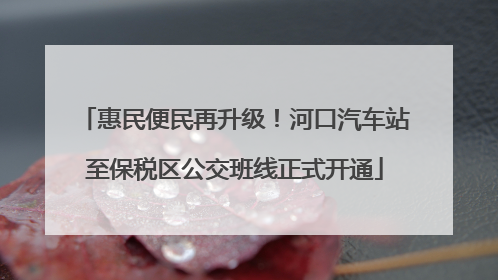 惠民便民再升级！河口汽车站至保税区公交班线正式开通