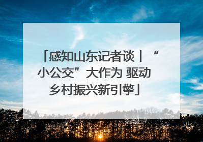 感知山东记者谈丨“小公交”大作为 驱动乡村振兴新引擎