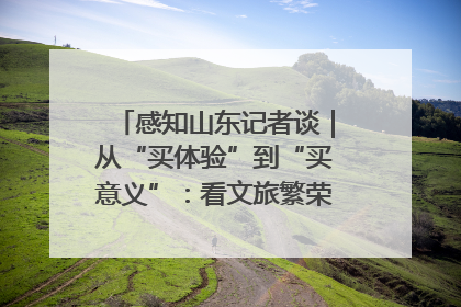 感知山东记者谈｜从“买体验”到“买意义”：看文旅繁荣背后的幸福新定义