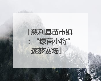 慈利县苗市镇：“绿茵小将”逐梦赛场
