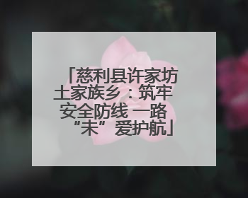 慈利县许家坊土家族乡：筑牢安全防线 一路“未”爱护航