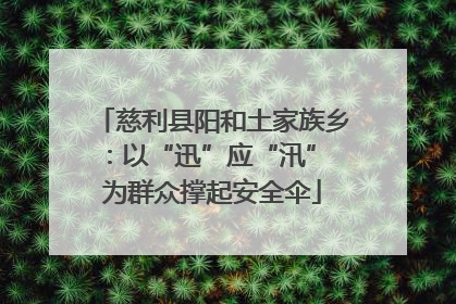 慈利县阳和土家族乡：以“迅”应“汛” 为群众撑起安全伞