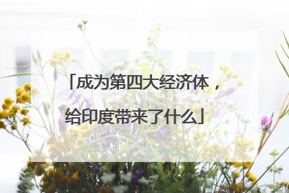成为第四大经济体，给印度带来了什么