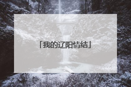我的辽阳情结