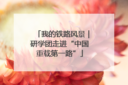我的铁路风景｜研学团走进“中国重载第一路”