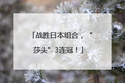 战胜日本组合，“莎头”3连冠！