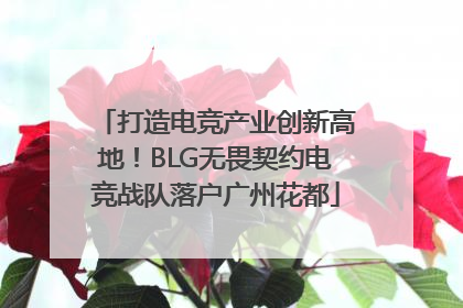 打造电竞产业创新高地！BLG无畏契约电竞战队落户广州花都