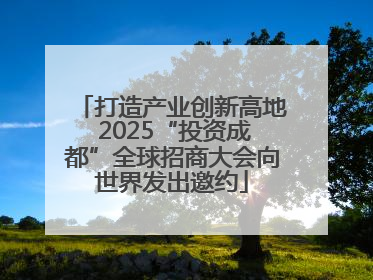 打造产业创新高地 2025“投资成都”全球招商大会向世界发出邀约