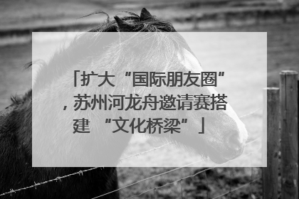扩大“国际朋友圈”，苏州河龙舟邀请赛搭建 “文化桥梁”