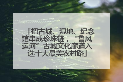 把古城、湿地、纪念馆串成珍珠链，“鲁风运河”古城文化廊道入选十大最美农村路