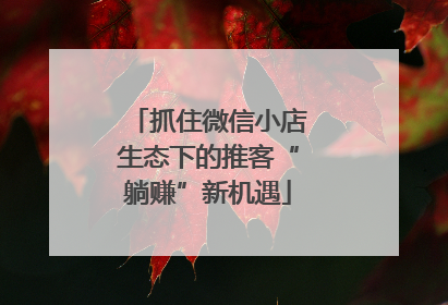 抓住微信小店生态下的推客“躺赚”新机遇