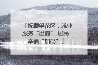 抚顺望花区：就业服务“出圈” 居民幸福“加码”