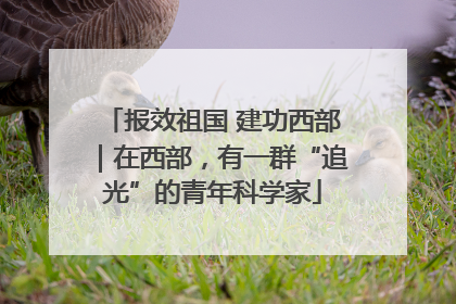报效祖国 建功西部｜在西部，有一群“追光”的青年科学家