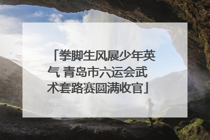 拳脚生风展少年英气 青岛市六运会武术套路赛圆满收官