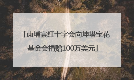 柬埔寨红十字会向坤塔宝花基金会捐赠100万美元