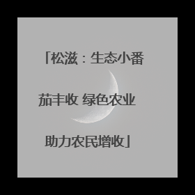 松滋：生态小番茄丰收 绿色农业助力农民增收