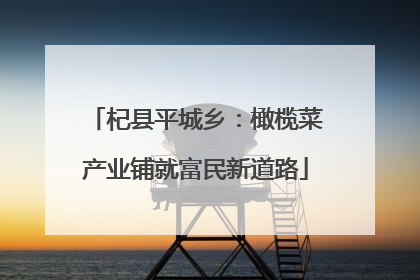 杞县平城乡：橄榄菜产业铺就富民新道路